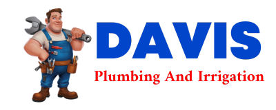 Trusted plumber in SARGENT